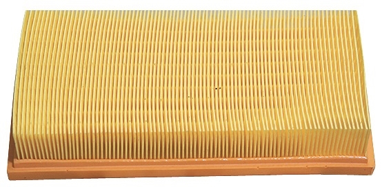 Filter Air AG1099 (1.4 16V ,1.6 8V) (Volkswagen Polo 9N)